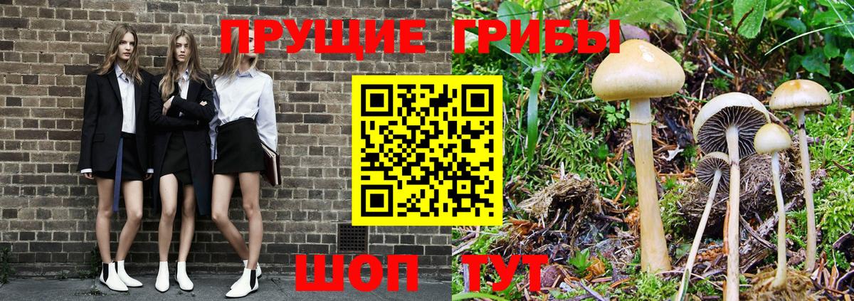 Магадан  наркошоп  Вход с VPN  Псилоцибиновые грибы GOLDEN TEACHER 