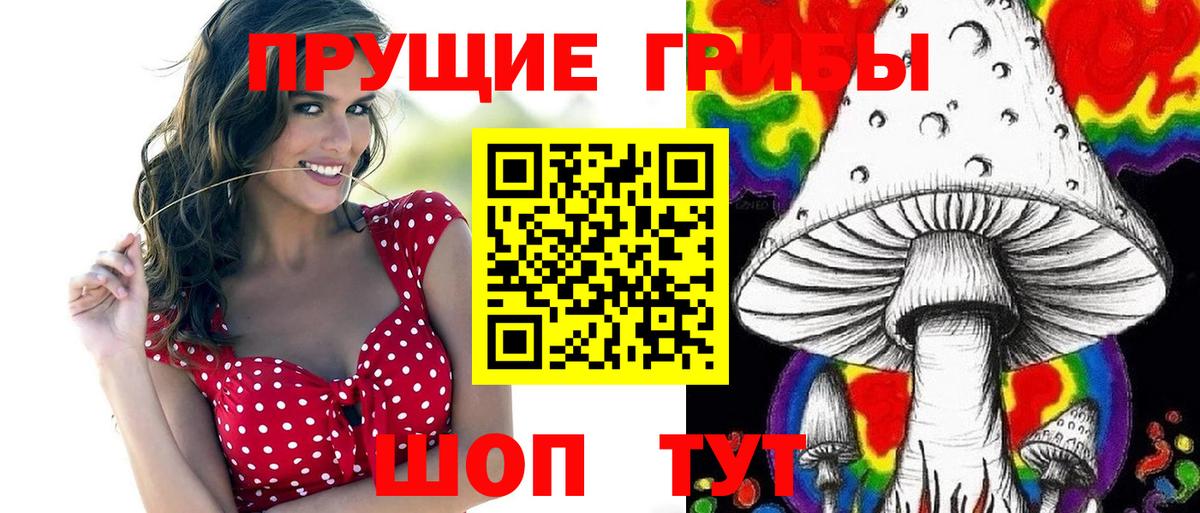 Галлюциногенные грибы Psilocybine cubensis Магадан