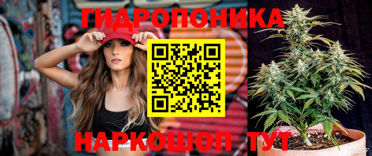 Бошки марихуана White Widow  Бошки марихуана LSD WEED  Магадан  Вход с VPN  Конопля конопля 